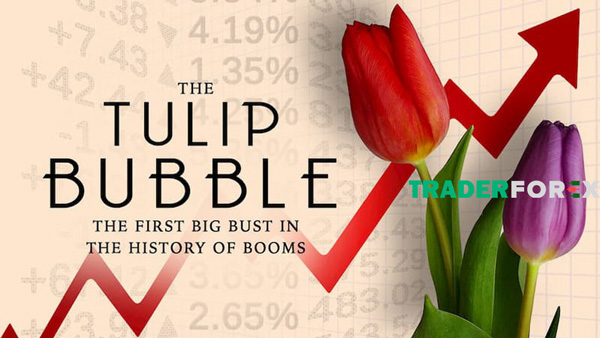 Bong bóng hoa Tulip vào thế kỉ 17