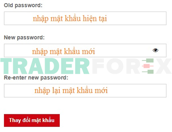 Nhập lại mật khẩu hiện tại và điền mật khẩu mới