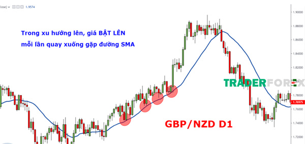 Cặp tiền GBP/NZD với đường SMA 20 màu xanh