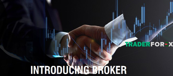 Thu nhập của Introducing Broker