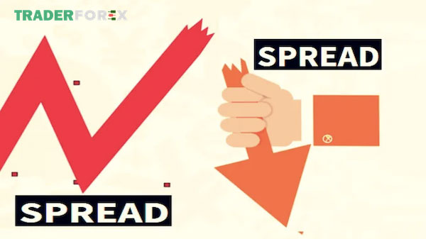 Tìm hiểu tất cả về Spread trong Forex