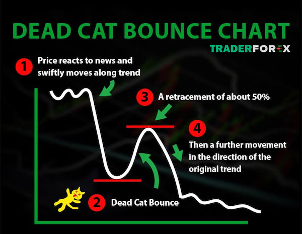 Dead Cat Bounce Chart và ý nghĩa quan trọng của nó