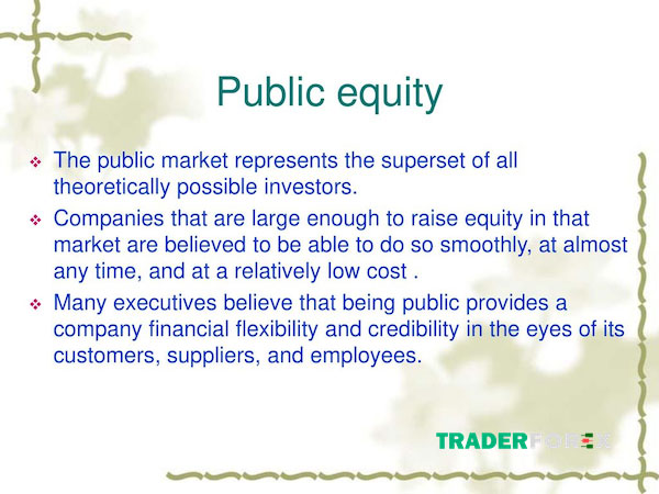 Khái niệm của Public Equity
