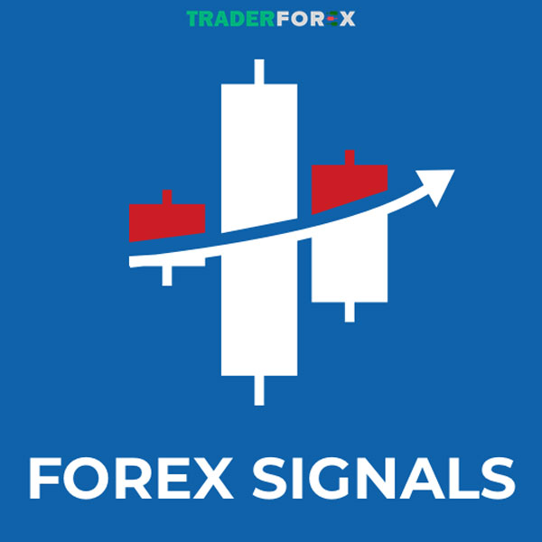 Mua Forex Signal ở đâu an toàn? 