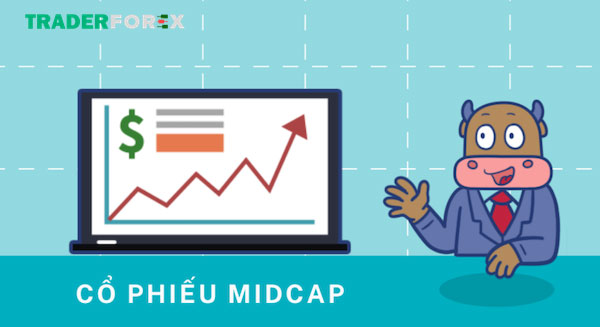 Những đặc điểm của cổ phiếu Midcap