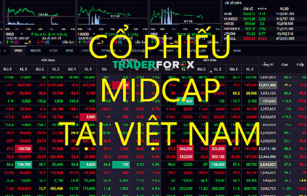 Mua cổ phiếu Midcap tại Việt Nam