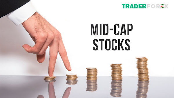 Khái niệm về cổ phiếu Mid Cap