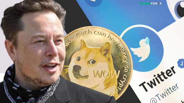 Elon Musk - God of Meme Coin