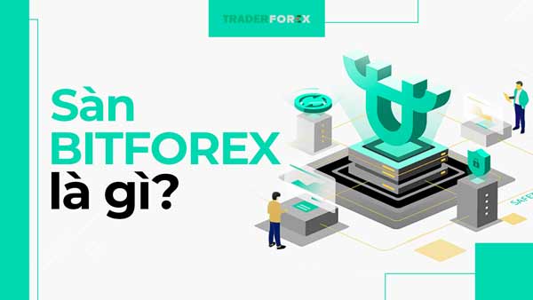 Sàn BitForex là gì 