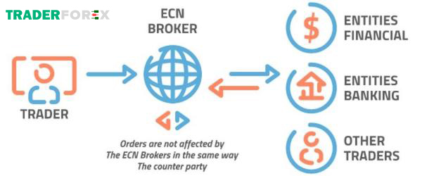 ECN là một lựa chọn lý tưởng cho các nhà đầu tư vì minh bạch, rõ ràng
