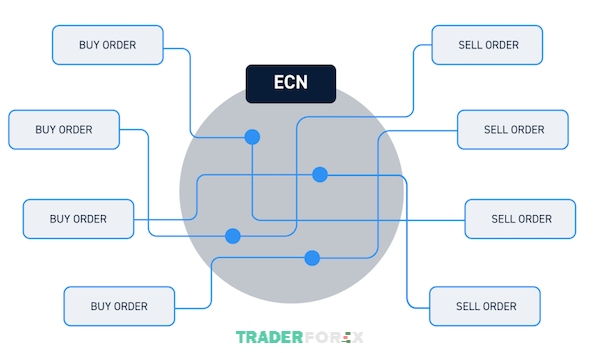 Sàn ECN có hỗ trợ hệ thống thanh toán sẽ giúp trader giảm bớt chi phí phải trả