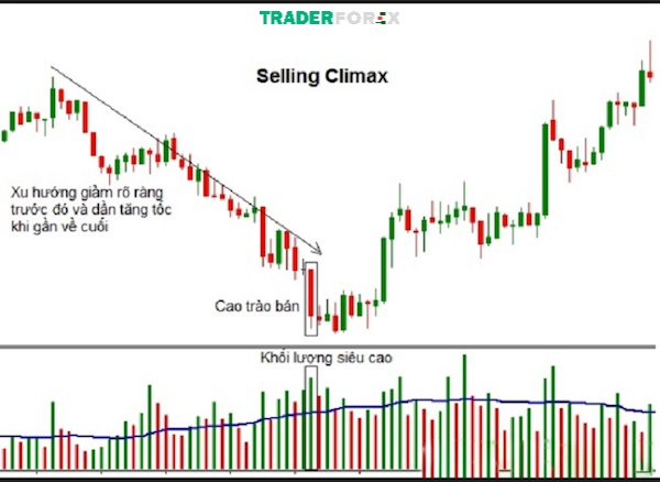 Hướng dẫn các Traders thực hiện giao dịch với Selling Climax cùng với phương pháp VSA