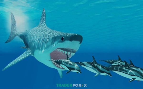 Cá mập trong Forex tác động mạnh mẽ đến thị trường