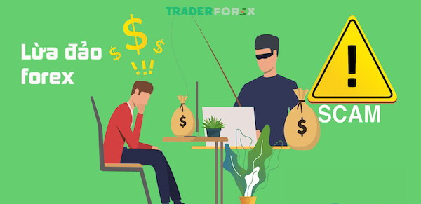 Trader kết luận Forex lừa đảo sau khi thua lỗ quá nhiều tiền