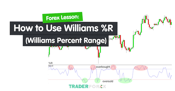 Chỉ báo Williams Percent Range và cách hoạt động của nó