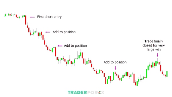 Trader phải có những khả năng để giao dịch với Position trading hiệu quả