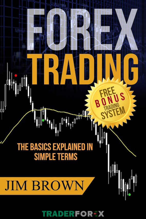 Sách đầu tư Forex “Forex Trading: The Basics Explained in Simple Terms”