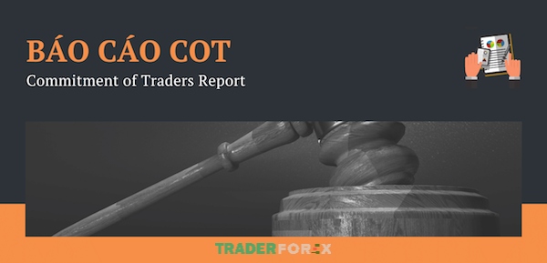 Tổng quan về báo cáo COT - Commitment of Traders Report