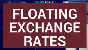 Floating Exchange Rate là gì