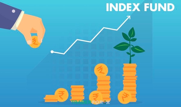 Cách vận hành và mục tiêu của Index funds