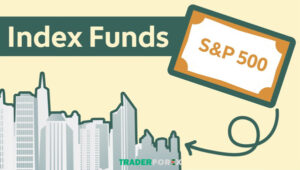Index fund là gì