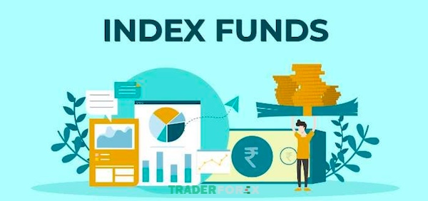 Các đặc điểm cơ bản của Index Fund mà nếu bạn đang quan tâm cần phải biết