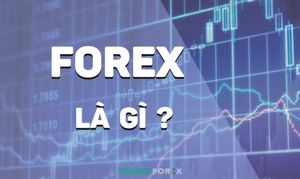 Thuật ngữ Foreign Exchange là gì?