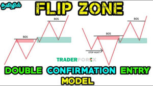 Flip Zone là gì